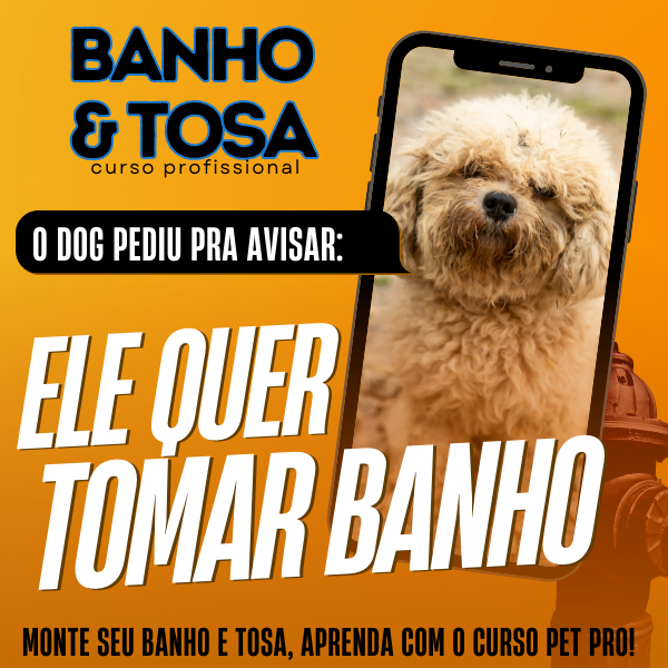 curso banho e tosa