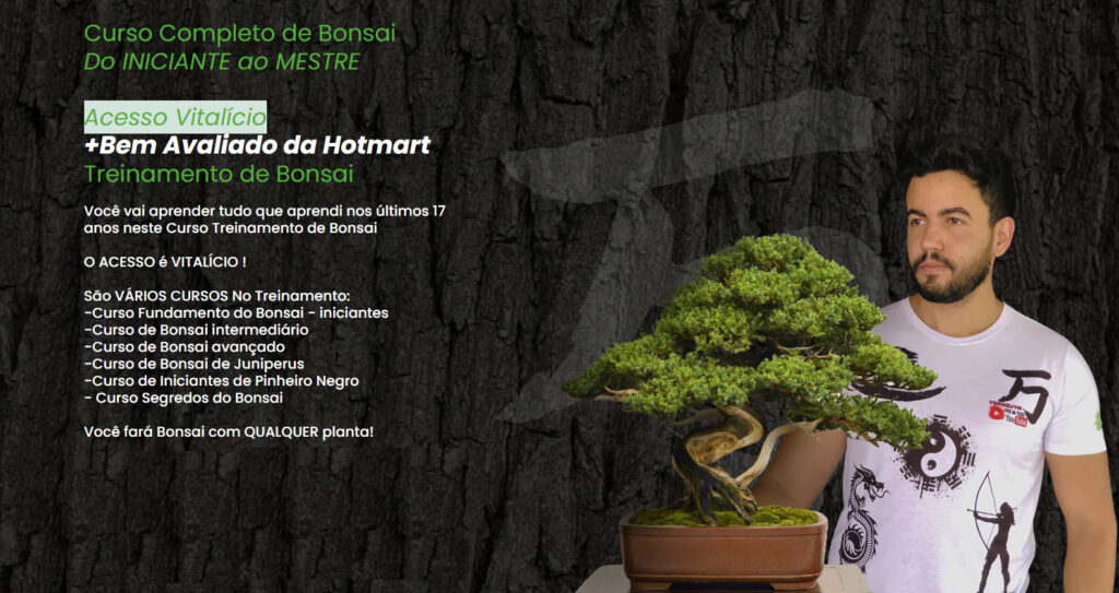 Curso de Bonsai