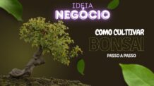 Como Cultivar Bonsai Passo a Passo Mesmo Sem Experiência