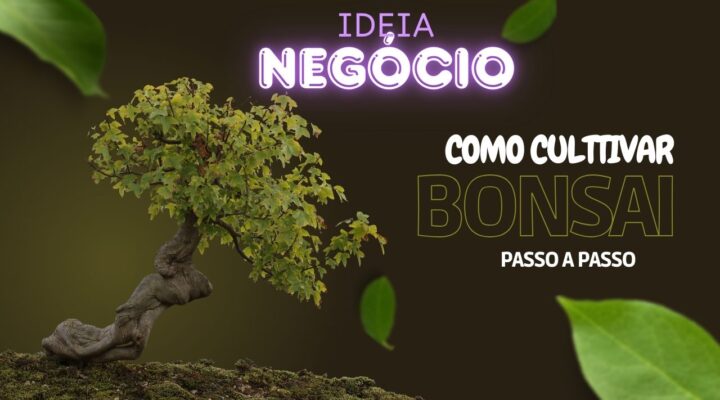Como Cultivar Bonsai Passo a Passo Mesmo Sem Experiência