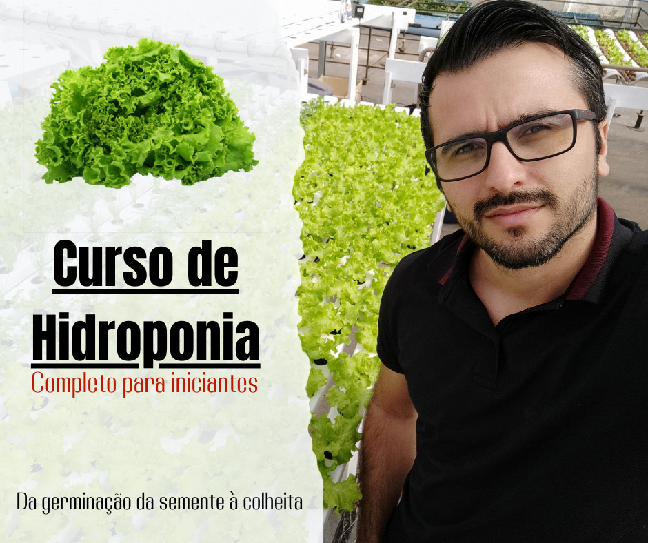 Hidroponia com Bruno Palma