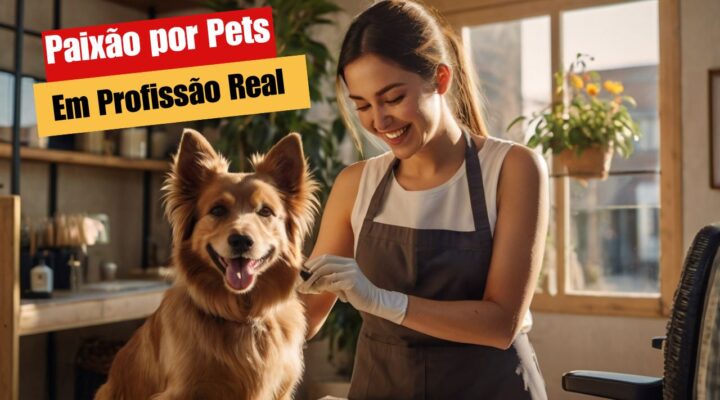 Banho e tosa: o guia completo para começar do zero