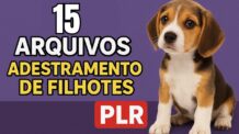 O Cofre Secreto de 15 Arquivos PLR para Adestramento de Filhotes – Transforme, Venda ou Lucre em 3 Idiomas Diferentes!